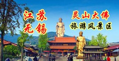 内射嫩穴无码视频江苏无锡灵山大佛旅游风景区